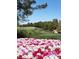 Lush green golf course with golfers, golf carts, colorful flowers, mature trees, and blue skies at 21 Grand Masters Dr, Las Vegas, NV 89141