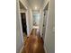 Hallway with hardwood floors leading to a walk-in closet and bathroom featuring double doors at 3216 Waterstone Ave, Henderson, NV 89044