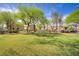 Green grass in a well-maintained community park at 4972 Groveland Ave, Las Vegas, NV 89139