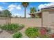 Fenced backyard featuring plants, including corn, in garden beds and a mature tree at 328 Wild Plum Ln, Las Vegas, NV 89107