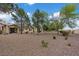 Large backyard with desert landscaping, mature trees, and a covered patio, offering a serene outdoor retreat at 11013 Mission Lakes Ave, Las Vegas, NV 89134
