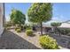 Well-maintained backyard featuring mature trees and landscaping, offering a serene outdoor escape at 2421 Gamma Ray Pl, Henderson, NV 89044