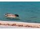 Duck swimming in a pond, a peaceful view at 3061 Waterside Cir, Las Vegas, NV 89117