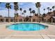 A community pool features blue water and is surrounded by palm trees and lounge chairs at 421 Raindance Dr, Henderson, NV 89014