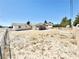 Large backyard enclosed with both wooden and chainlink fencing, providing a secure outdoor space at 810 E Calvada Blvd, Pahrump, NV 89048