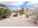 Low-maintenance backyard showcasing desert-style landscaping with varied plant life and stone at 8161 Cane Creek Mill Ct, Las Vegas, NV 89131