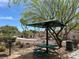 Community picnic area featuring a grill and picnic table, shaded by mature trees at 8524 Little Fox St, Las Vegas, NV 89123