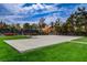 A well-maintained outdoor basketball court surrounded by lush landscaping and mature trees at 2338 Dolphin Ct, Henderson, NV 89074