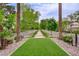 Picturesque street view lined with mature trees and lush landscaping, enhancing the neighborhood's appeal at 2338 Dolphin Ct, Henderson, NV 89074