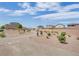 View of the desert-style community featuring meandering sidewalks and carefully manicured, drought-resistant plants and shrubs at 10038 W Meranto Ave, Las Vegas, NV 89178
