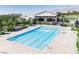 Aerial view of a pristine community pool with surrounding amenities at 10250 Tree Blossom Ave, Las Vegas, NV 89166