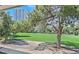 View of the grass area from patio showing mature shade trees and landscaping at 2831 Geary Pl # 2918, Las Vegas, NV 89109