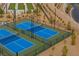 Aerial view of community pickleball courts, perfect for an active lifestyle at 892 Elmwood Forest Ln, Las Vegas, NV 89138