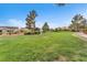 Large grassy common area, surrounded by lush trees, and neighborhood homes at 9737 Darlington Ct, Las Vegas, NV 89149