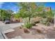 A well-maintained front yard with mature tree, a sidewalk and gravel landscaping at 11120 Whooping Crane Ln, Las Vegas, NV 89144