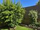 Lush backyard featuring mature trees and flowers, creating a serene and inviting outdoor space at 10013 Scenic Walk Ave, Las Vegas, NV 89149