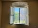 Window view of the backyard featuring white plantation shutters and manicured lawn at 10013 Scenic Walk Ave, Las Vegas, NV 89149