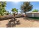 Private backyard featuring a palm tree, rock landscaping, gravel cover, and a small shed for added storage at 1304 Virgil St, Las Vegas, NV 89110