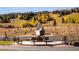 Outdoor statue of a bear reading a book surrounded by animal figures on a sunny day in a park-like setting at 223 Hunter Ridge Rd # 300, Brian Head, UT 84719