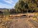 Over-sized backyard with mature trees and plenty of room to roam at 3491 S Bridle Way, Crystal, NV 89020