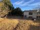 Large backyard with trees, animal pen, and plenty of room to entertain at 3491 S Bridle Way, Crystal, NV 89020