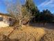 Expansive backyard featuring mature trees and tons of privacy at 3491 S Bridle Way, Crystal, NV 89020