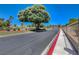Street view showcasing a well-maintained neighborhood with tree-lined streets and manicured landscaping at 5541 Port Barrington Way, Las Vegas, NV 89130