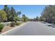 Scenic community street with lush landscaping and gated entrance at 5820 Amber Station Ave, Las Vegas, NV 89131
