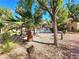 Walking path and landscaping near the community pool at 8452 Boseck Dr # 216, Las Vegas, NV 89145
