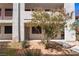 Condo exterior with security door, black tinted windows, and vibrant flowering trees at 1361 E University Ave # 106, Las Vegas, NV 89119