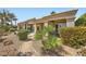Beautiful backyard showcasing manicured landscaping, stone pathways, and a serene desert setting at 4564 Bersaglio St, Las Vegas, NV 89135