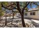 View from backyard showcasing mature trees with lamp post and rear of home at 6407 Wild Strawberry Ln, Las Vegas, NV 89142