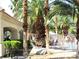 Community pool area surrounded by tall palm trees at 6480 Annie Oakley Dr # 111, Las Vegas, NV 89120