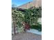 Lush garden with flowering plants, a wooden chair and a trellis at 7200 Alta Dr, Las Vegas, NV 89145