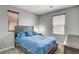 Comfortable bedroom with plush carpet, gray walls, and blue bedding at 900 Harbor Ave, Henderson, NV 89002