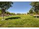 Expansive community green space with manicured lawn and mature trees, perfect for recreation at 900 Harbor Ave, Henderson, NV 89002