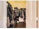 Walk-in closet with rods, shelves, and lots of space at 10798 Muscari Way, Las Vegas, NV 89141