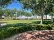 Well-maintained green grass area with trees, bushes, and other landscaping in a common area at 2805 Proust Ct, Henderson, NV 89044