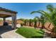 Backyard featuring a covered patio, well-manicured grass area, and decorative palm trees at 1128 Via Della Curia, Henderson, NV 89011