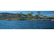 View of the community's lake and landscaping at 100 Via Franello, Henderson, NV 89011