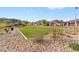 Scenic view of community park, featuring well-maintained green space and walking paths at 127 Medianoche St, Las Vegas, NV 89138