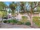 Landscaped backyard with plush lawn, desert foliage, and patio area with tiki bar for outdoor relaxation and entertaining at 3540 Wisdom Ct, Las Vegas, NV 89120