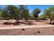 Expansive, well-maintained yard featuring mature trees, providing a serene and inviting outdoor community space at 3717 Casey Dr, Las Vegas, NV 89120
