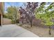 Backyard with desert landscaping, privacy wall, and various trees adding shade at 10241 Premia Pl, Las Vegas, NV 89135