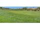 Lush green golf course view with trees and well-maintained landscaping at 10241 Premia Pl, Las Vegas, NV 89135