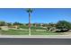 Lush green golf course view with palm trees and mountain views at 10241 Premia Pl, Las Vegas, NV 89135