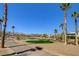 Picturesque golf course featuring palm trees and serene water features under a clear blue sky at 10241 Premia Pl, Las Vegas, NV 89135