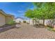 This backyard is adorned with desert landscaping and a storage shed at 1508 Ten Palms Ct, Las Vegas, NV 89117