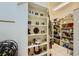 View of a well-organized pantry with shelving and storage for food and appliances at 1508 Ten Palms Ct, Las Vegas, NV 89117