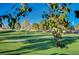 Scenic view of the lush green golf course at 5508 Lochmor Ave, Las Vegas, NV 89130